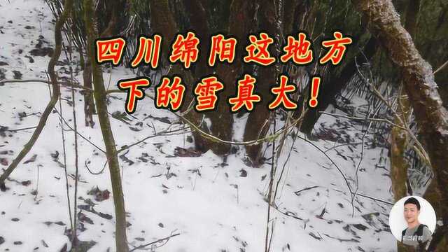 四川绵阳山上下的雪真大,简直分不清东南西北,毛哥差点迷路!