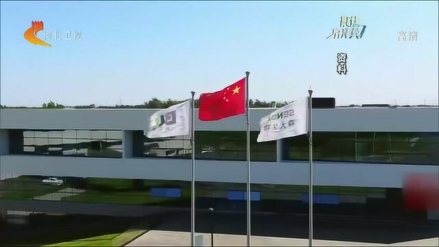 中国(河北)自贸试验区正定片区配套政策公布,涉及八大方面