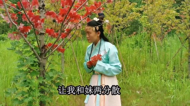 云南山歌《天遥路远许终身》民间小调