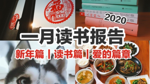 一月读书报告,三个篇章:过年、读书与爱,2020年春节注定不平凡