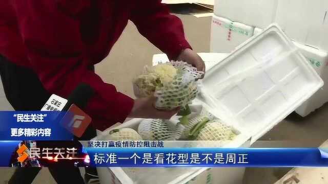 记者探访北国超市果蔬配送中心:货量足 保新鲜 价格低