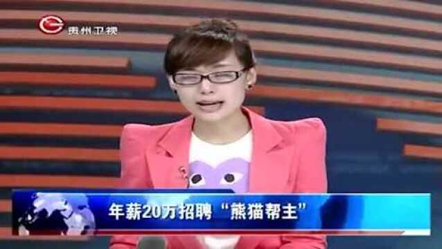 成都年薪20万招聘“熊猫帮主”,堪称中国最有趣的工作,羡煞旁人!