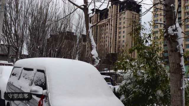 坐标:山东临沂蒙阴—倒春寒的大雪惹人爱