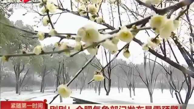 最新!合肥气象部门发布暴雪预警!降雪将会达到4毫米以上