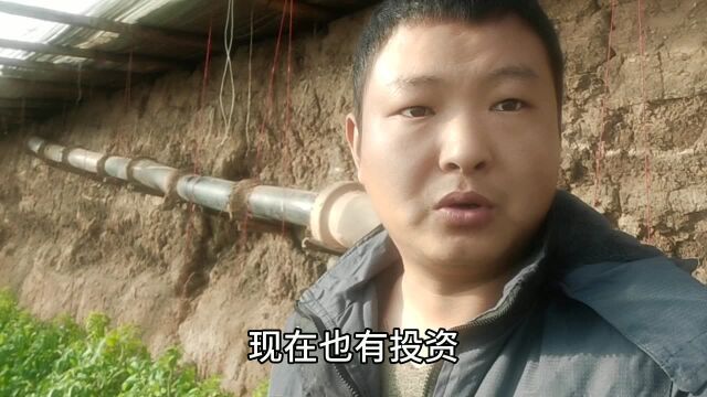 种植大棚一年利润10000元,说出内幕后就没人弄了,确实如此