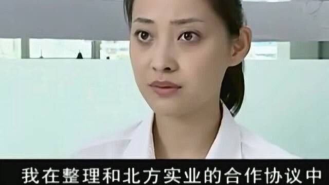 两大集团合作会议上,竟全程由一名小职员发言,美女太有牌面了