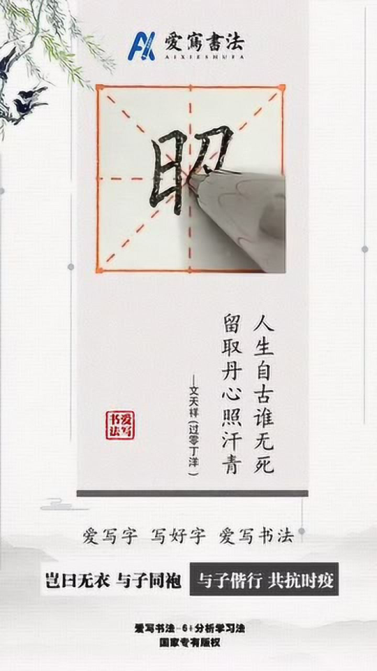 爱写书法每日教学丨照字的书写示范