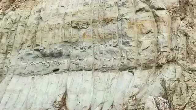 烧瓷器的高岭土矿里,也可能有上千万年前的琥珀,大自然真是太神奇了!