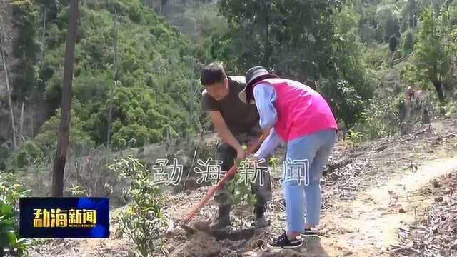 布朗山乡开展打击整治毁林种植等破坏森林资源违法行为植被恢复工作