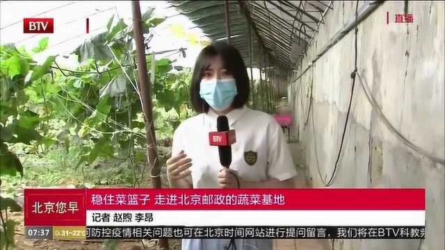 稳住菜篮子 走进北京邮政的蔬菜基地