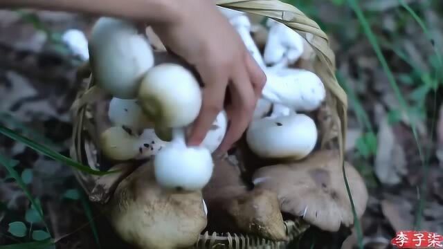 夏天正是吃野生菌子的季节,李子柒的完整视频:深山采摘菌子回家制作美食