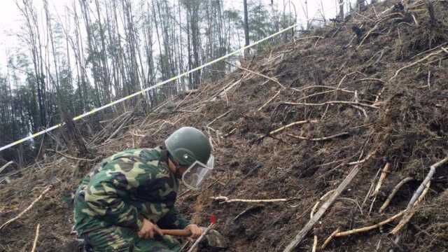 地雷种类繁多,他们靠双手排雷,被称为当代最危险的兵种