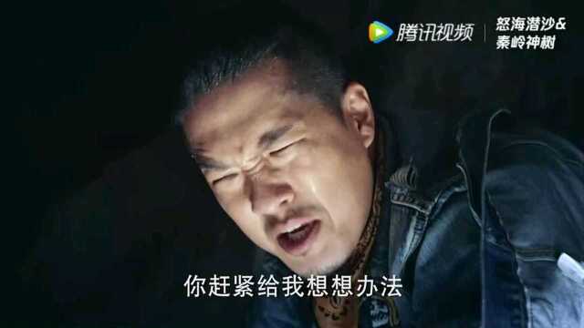 小哥(张起灵)笑起来太帅了