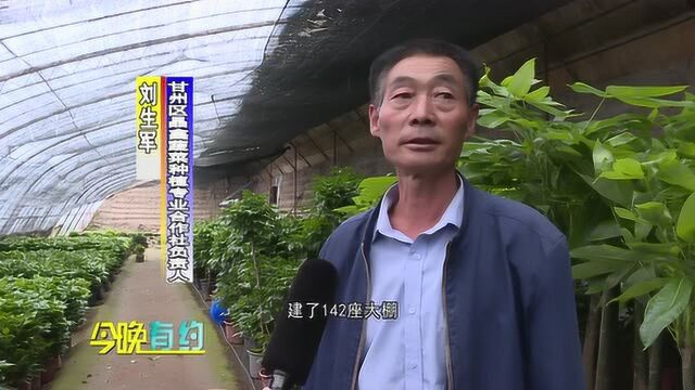 刘生军:退伍不褪色,永做领军人