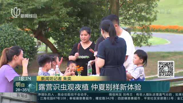 露营识虫观夜植 仲夏别样新体验