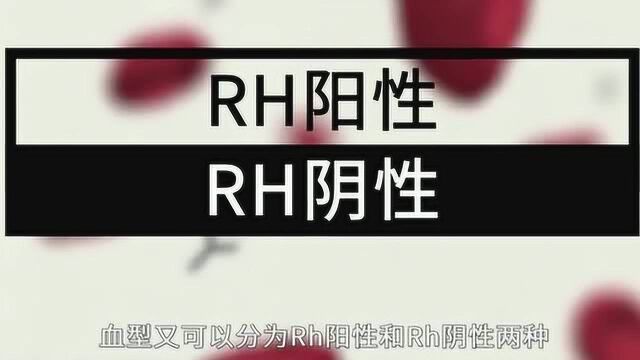 关于血型你知道多少?今天就来科普一下关于血型的那些事!又长知识了!