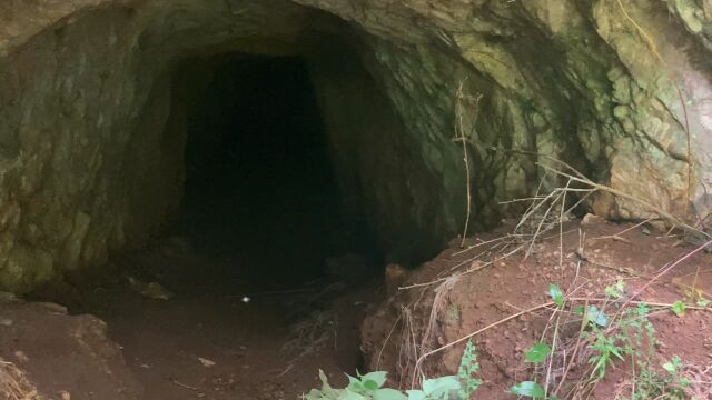 小伙深山寻找盆景素材,遇见一个人挖的山洞,洞口有羽毛,洞内有水声