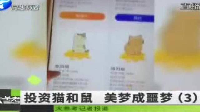 喵喵和米奇乐园互助资金盘骗局电视台曝光!