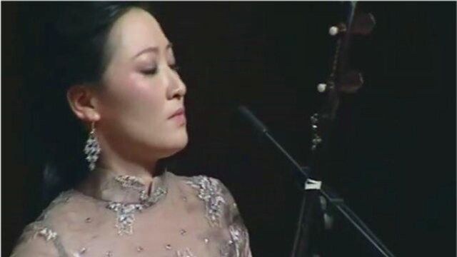 二胡大师王一婧演奏《引子与回旋随想曲》,音色悦耳动听