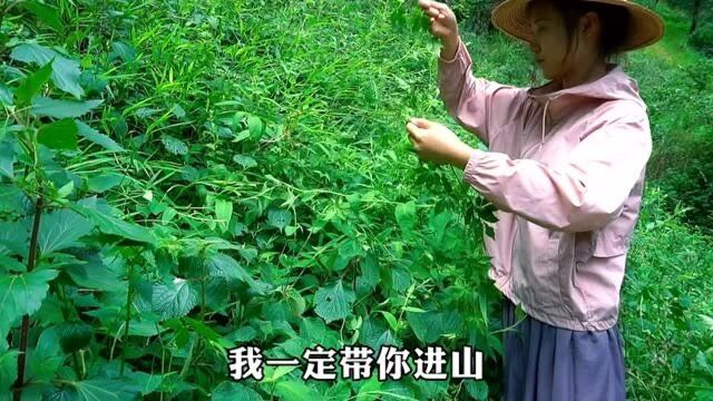 偷闲进山摘果捡宝回院插花把酒泡是你要的生活吗