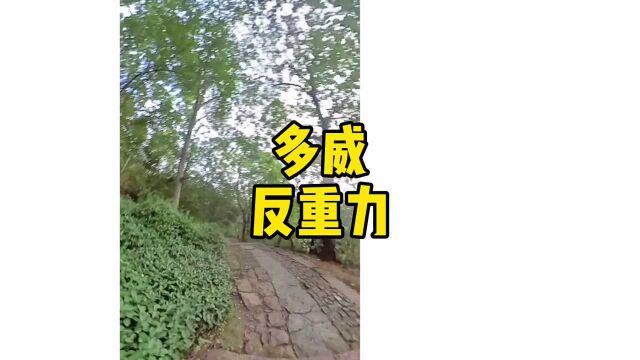 多威反重力跑鞋,严谨老教授带你起跑