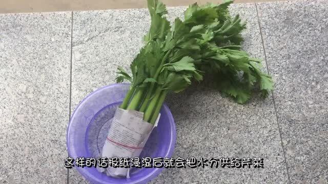 芹菜不用放冰箱保存,教你几个小方法,放多久都新鲜!