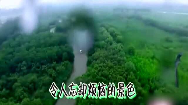 极限挑战:孙红雷自夸颜值高,还有自己的韩文名字