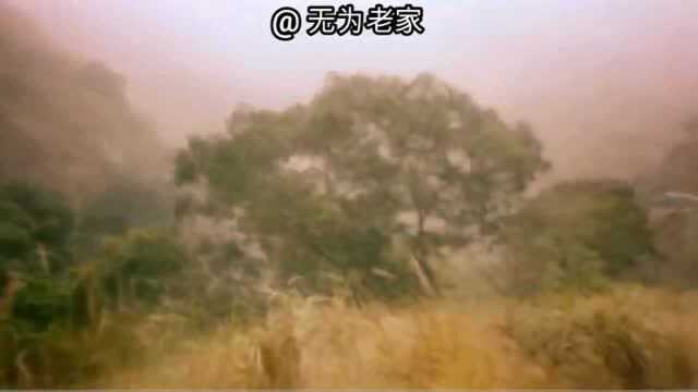 1987年香港电影《倩女幽魂》主题曲《路随人茫茫》(张国荣演唱)