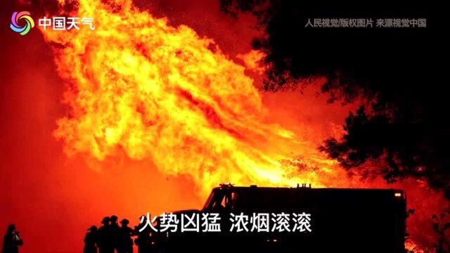 美国加州山火持续 过火面积堪比10个纽约市