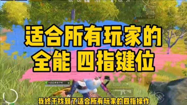 和平精英:适合所有玩家的\