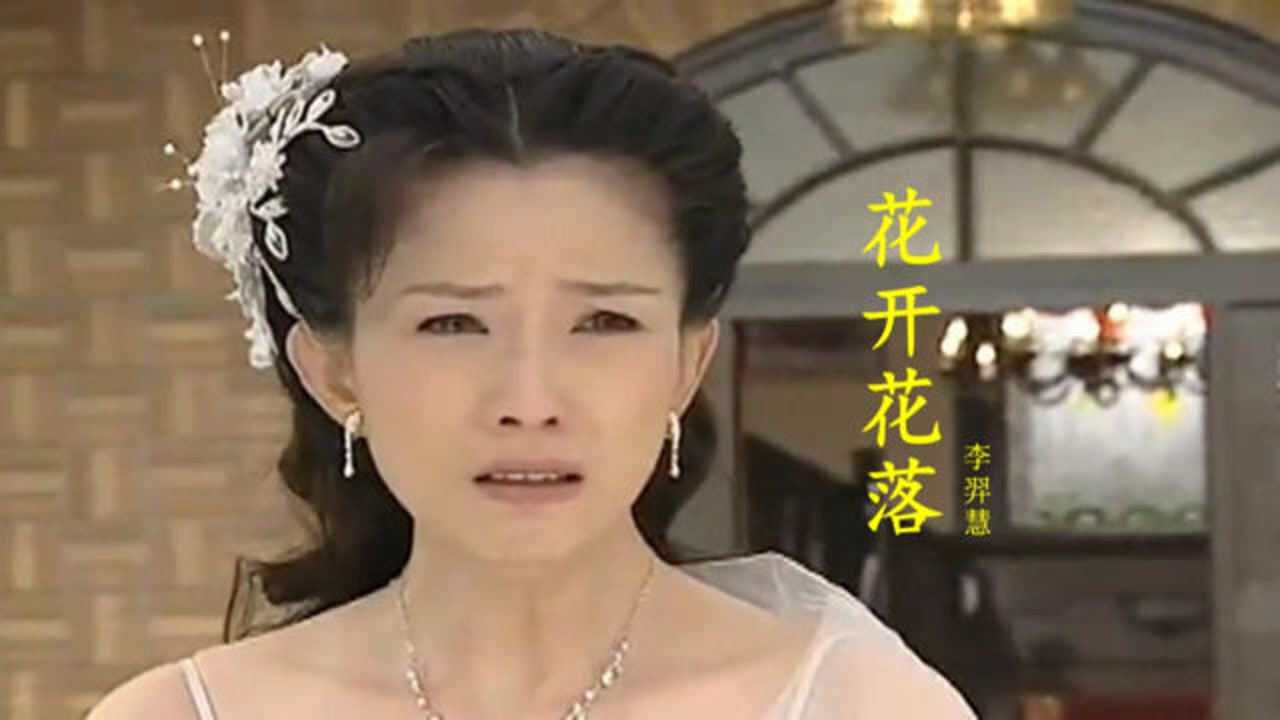 电视剧木棉花的春天主题曲花开花落经典好听感人至深