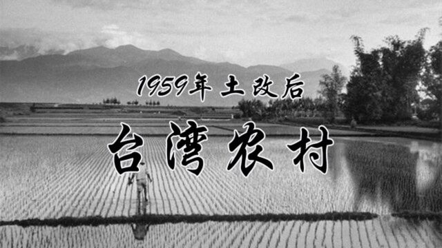 1959年,土改后的台湾农村