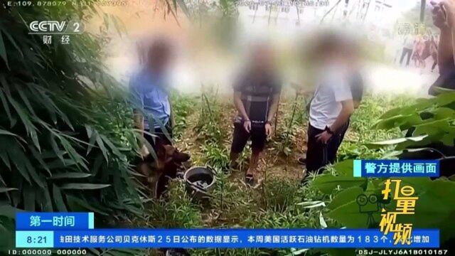 重庆:警方成功破获系列涉毒案件,抓获11名犯罪嫌疑人