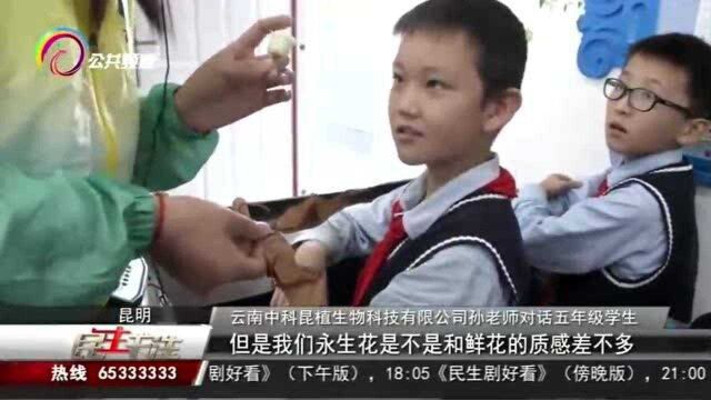 生物多样性主题课堂走进盘龙小学,探秘永生花