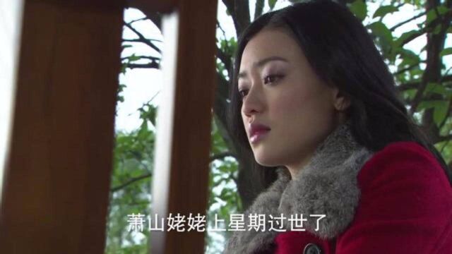 千山暮雪:女子来找美女,说自己的男友失踪了,请美女帮忙寻找