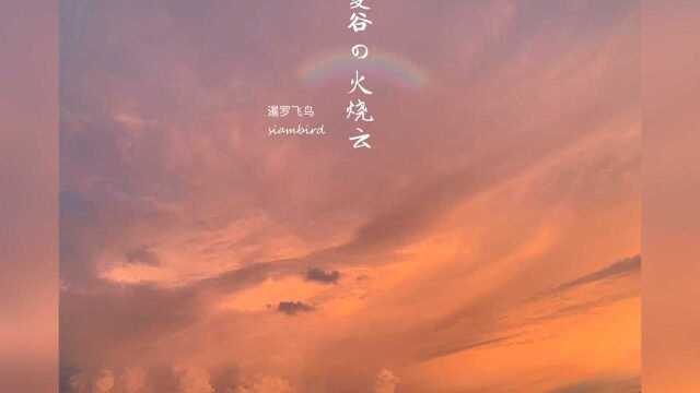 曼谷今日份晚霞.泰国雨季末绚丽的火烧云. ༄暹罗飞鸟ⷳiambird 泰国ⷮŠ曼谷