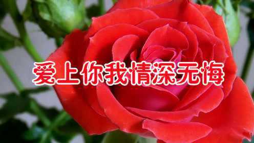 于洋一首《爱上你我情深无悔》歌声情真意切，听了不后悔！