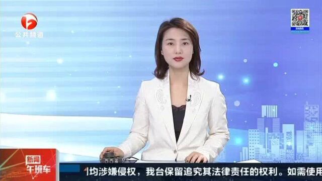 合肥:二手车挂靠公司 承诺一年后过户?