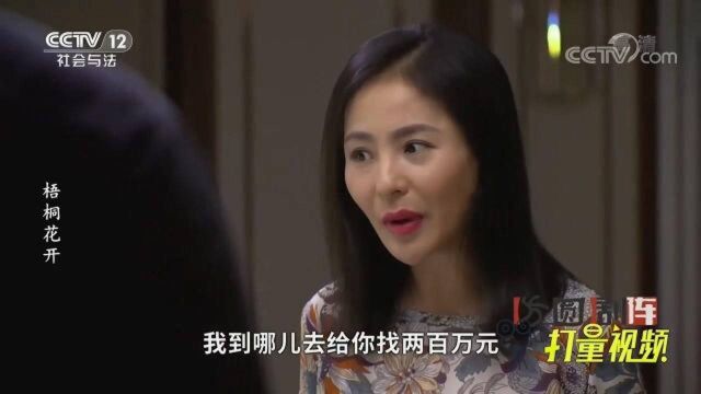 梧桐花开5:公司亏了200万,男子竟跟自己的一夜情人要,咋回事?