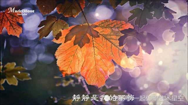 玖健《亲亲你念着谁》,配图音乐欣赏