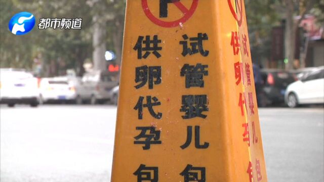 女记者卧底应聘“捐卵”:漂亮能见客户就加钱,高学历至少给3万