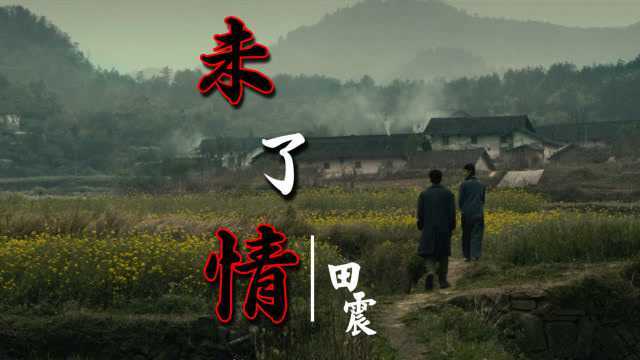 田震经典歌曲《未了情》触动心弦,听完很伤感,忍不住流泪