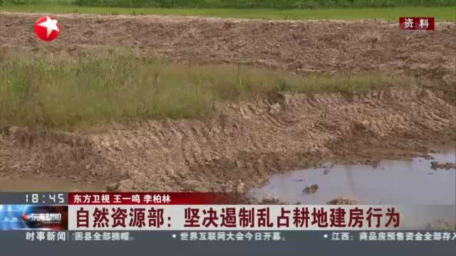 自然资源部:坚决遏制乱占耕地建房行为