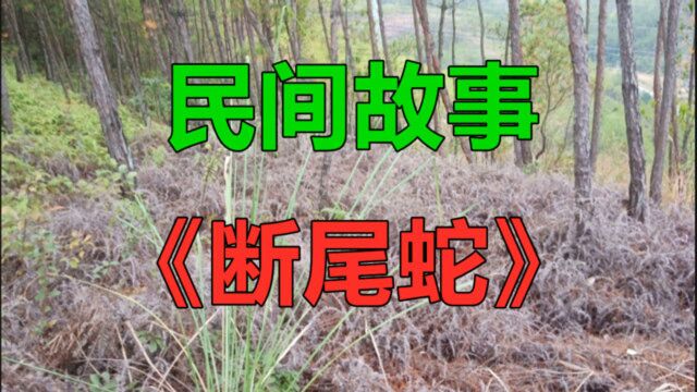 民间故事《断尾蛇》有个小孩叫周小青打小就是身体多病