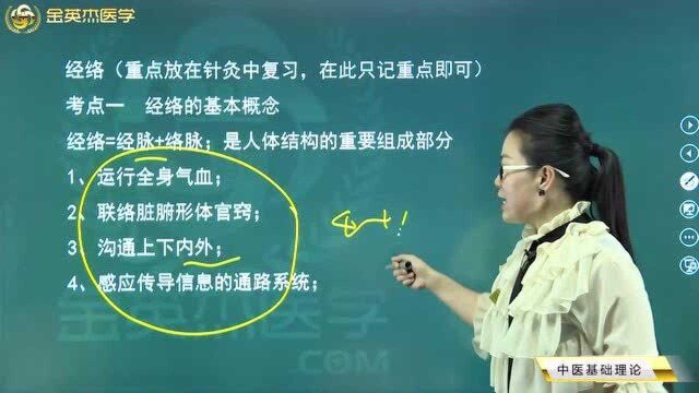 中医核心考点全攻略01中医基础理论学10经络01(1)