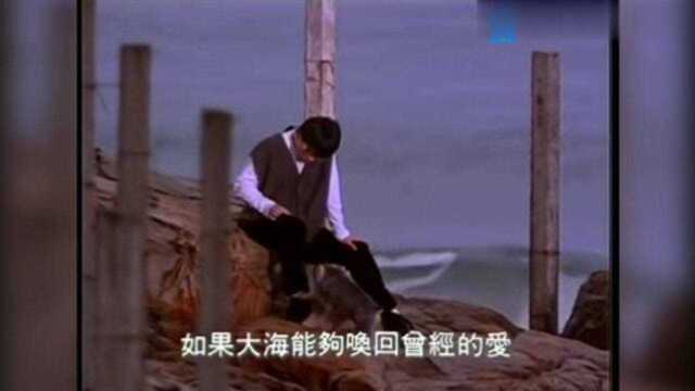 大海,超好听的歌