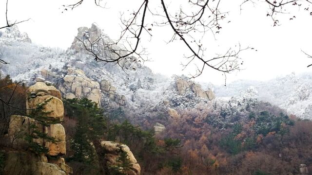 四毛带你看海上“第一名山”崂山北九水