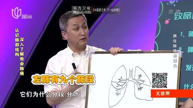 认识肺部结构,专家带你深入了解致命肺癌!可得要知道