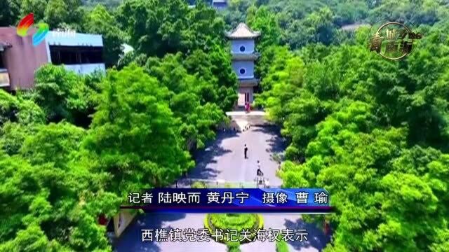 (城乡融合系列)西樵:未来3年投入80亿元重点打造环西樵山片区