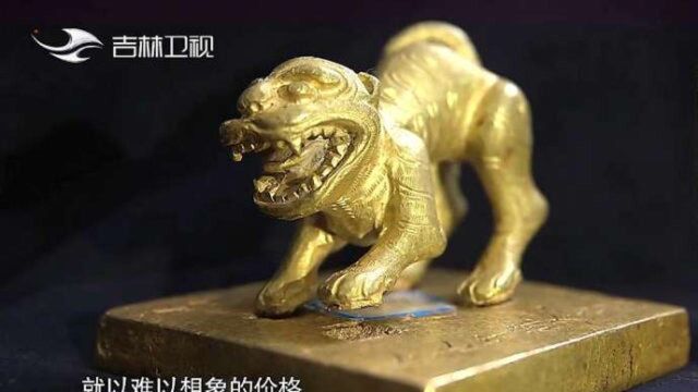 盗宝者江中捞到金老虎印,结果一盖章,印出来“天书”!